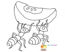 蚂蚁搬粮简笔画