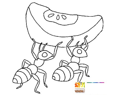 蚂蚁搬粮简笔画