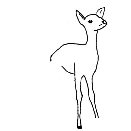 可爱动物麋鹿简笔画