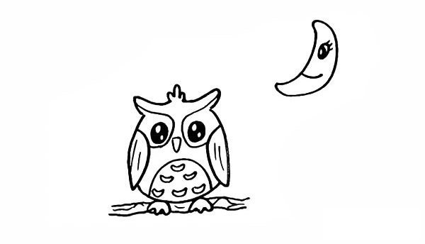 猫头鹰简笔画