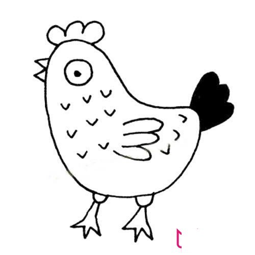 好看的动物简笔画大全，母鸡简笔画