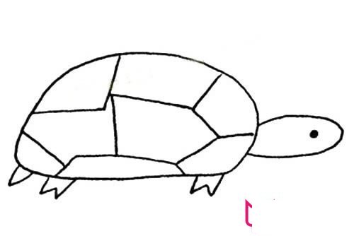 动物简笔画大全,慢吞吞的乌龟简笔画
