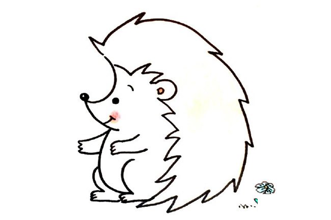 小刺猬简笔画步骤9