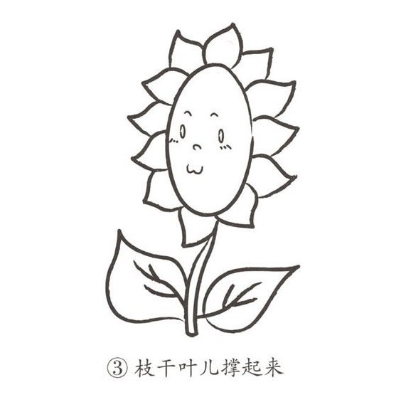 卡通向日葵简笔画图片