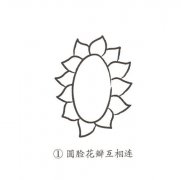 卡通向日葵简笔画的画法图片