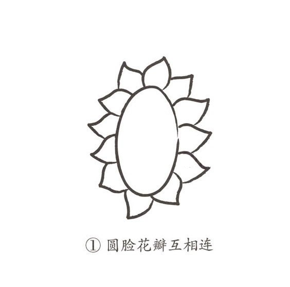 卡通向日葵简笔画图片