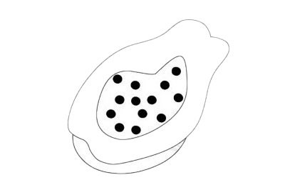 水果简笔画图片