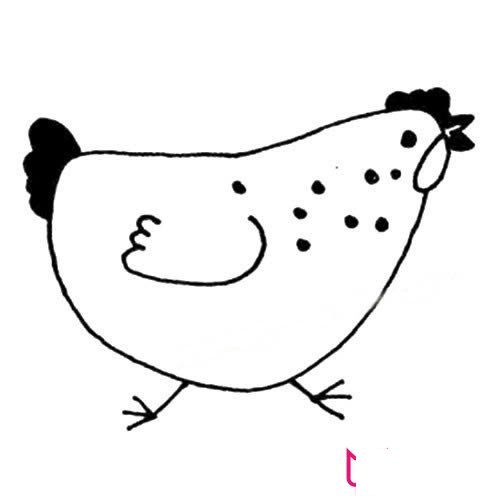 好看的动物简笔画大全，母鸡简笔画