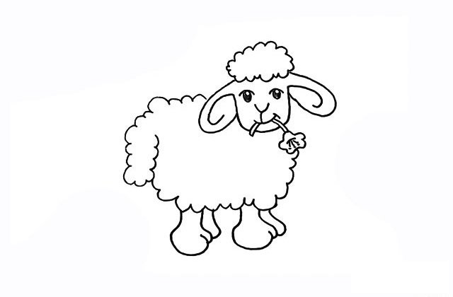 小绵羊简笔画