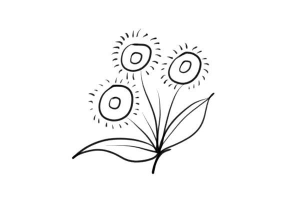 漂亮的小花花简单画法简笔画