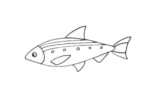 沙丁鱼简笔画图片