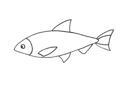 沙丁鱼简笔画图片