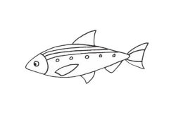 沙丁鱼简笔画步骤教程及图片大全