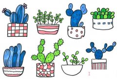 怎么画仙人掌盆栽详细步骤图简笔画教程涂色