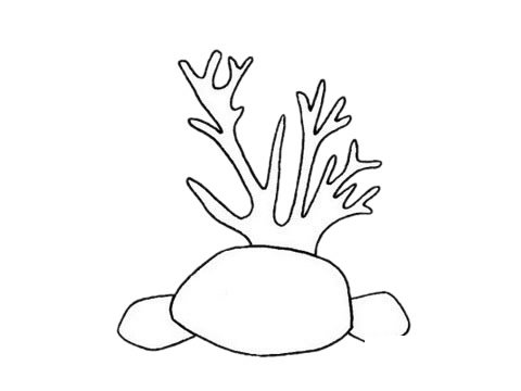 珊瑚简笔画图片大全作品四