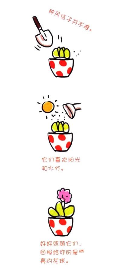 四步画出风信子简笔画图片