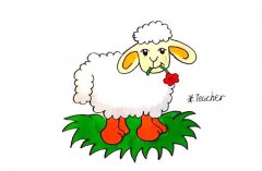 学画小绵羊简笔画步骤图解教程