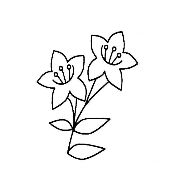 百合花的简易画法2