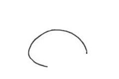 珊瑚简笔画图片