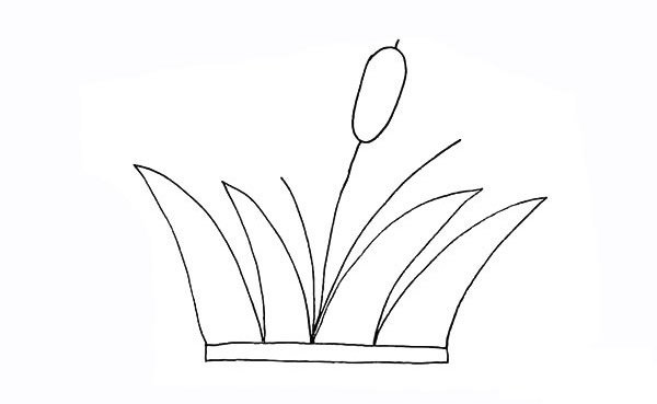 芦苇简笔画