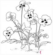 紫罗兰简笔画大全