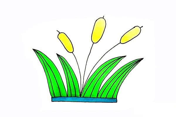 芦苇简笔画