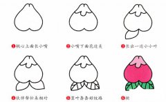 水蜜桃简笔画步骤图片大全