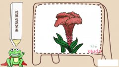 鸡冠花简笔画