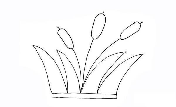 芦苇简笔画