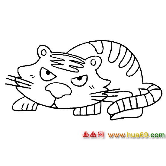 一只老虎│动物简笔画6