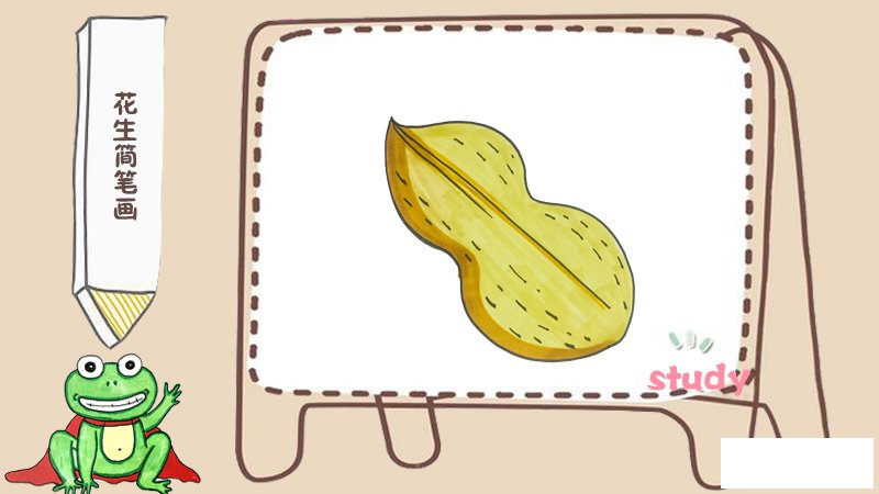 花生简笔画