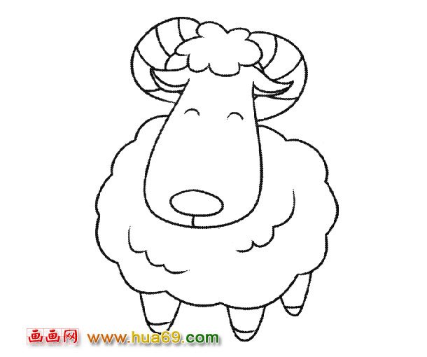可爱的绵羊_动物简笔画2
