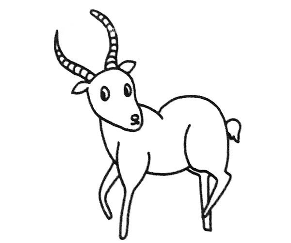 羚羊简笔画图片3
