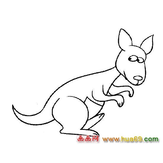 袋鼠【动物简笔画】5