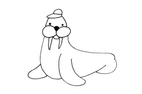 海象简笔画图片