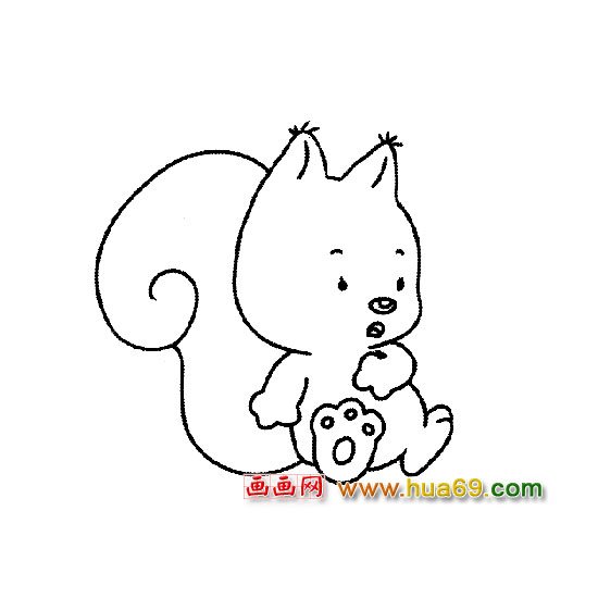 松鼠简笔画:松鼠宝宝3