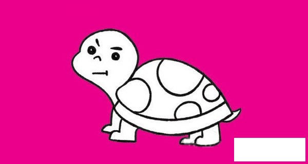 乌龟简笔画图片大全作品四