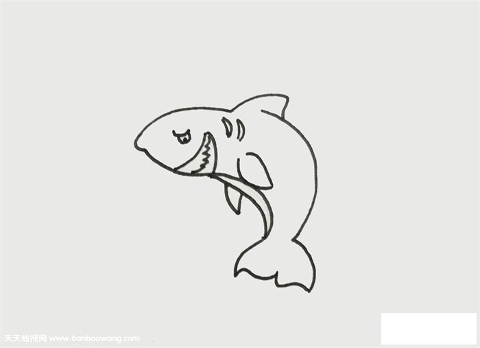 巨齿鲨的画法