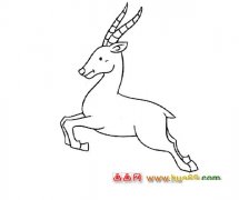 奔跑的山羊(简笔画)