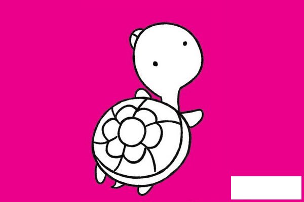 乌龟简笔画图片大全作品二