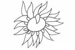 海葵简笔画步骤教程及图片大全