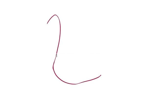 火烈鸟简笔画步骤教程