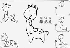 梅花鹿怎么画简笔画