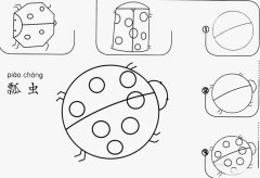 七星瓢虫怎么画简笔画图片