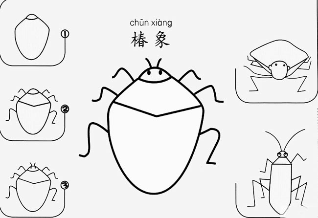 椿象怎么画简笔画图片