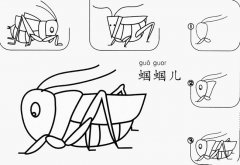 蝈蝈怎么画简笔画图片