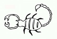 画蝎子简笔画图片大全