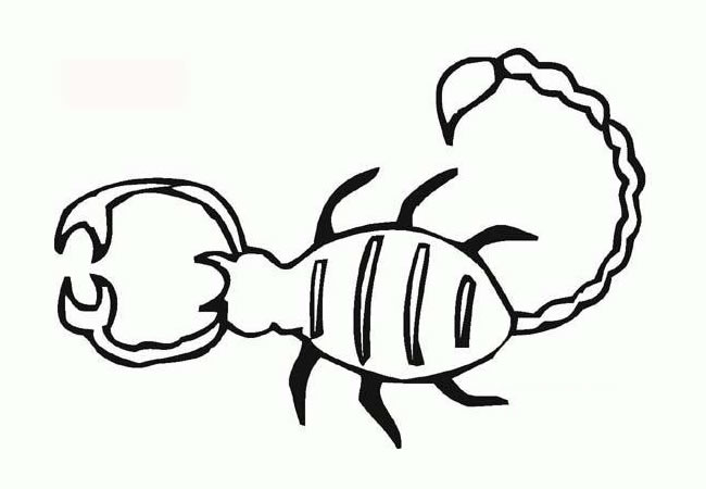 画蝎子简笔画图片大全