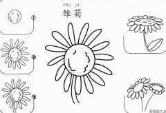雏菊怎么画简笔画图解教程