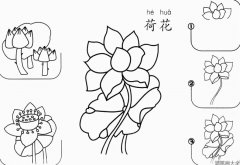 荷花怎么画漂亮又简单